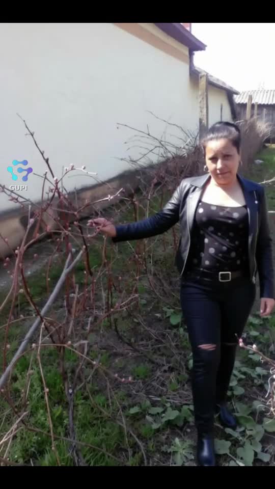 Video de @gupiuser23803