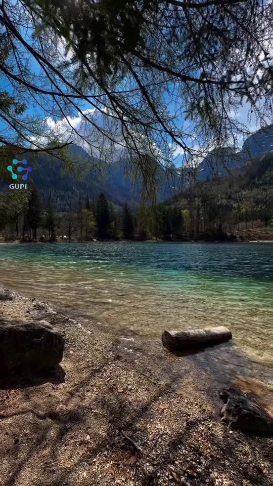 ☺️🙏🏻🎞|||{"overlays":[{"text":"​\"Locuiesc și muncesc în Germania, am 35 de ani și am ajuns în punctul în care îmi doresc mai mult decât simpla rutină zilnică. Sunt un om onest, singur, și caut o parteneră cu care să comunic, să râd și, cine știe, să formăm un viitor împreună. Nu caut perfecțiunea, ci autenticitatea. Dacă ești liberă și vrei să vorbim, scrie-mi!\"","x":0.098681640625,"y":0.041723787331882936,"fontSize":14.0,"color":4294967295,"isEmoji":false}]}