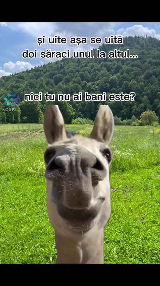ADEVĂRAT!!🤣🤣🤣