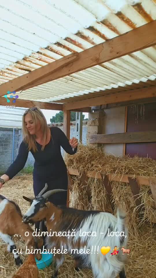 ... o dimineață loca-loca cu bimbuztele mele!!!
  ♎️