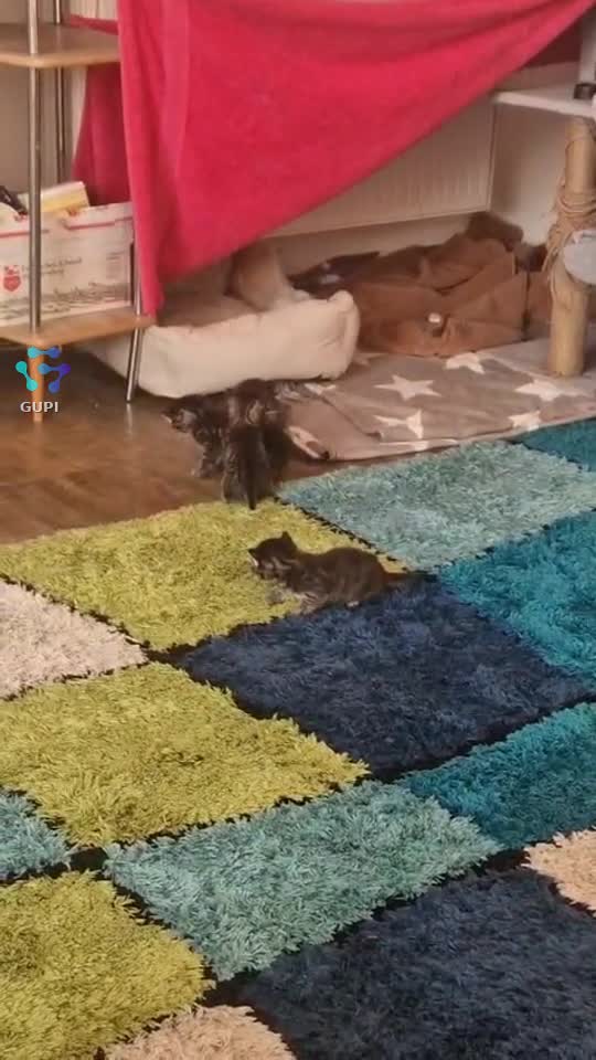 🥰🥰🥰
