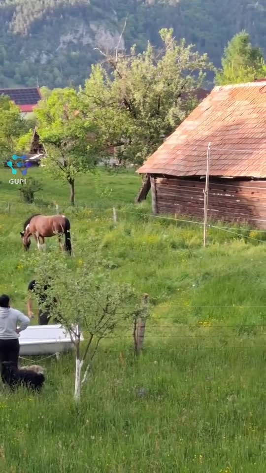 Original Sound - Pătrașcu Andree
