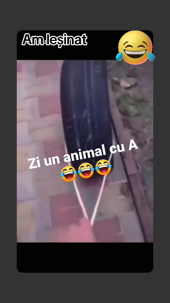 🤣🤣🤣