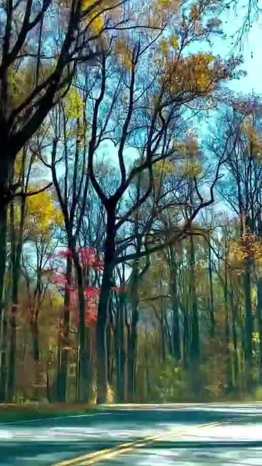 Cu toată știința ta, îmi poți spune cum și de unde vine acea lumină în suflet?

Henry David Thoreau