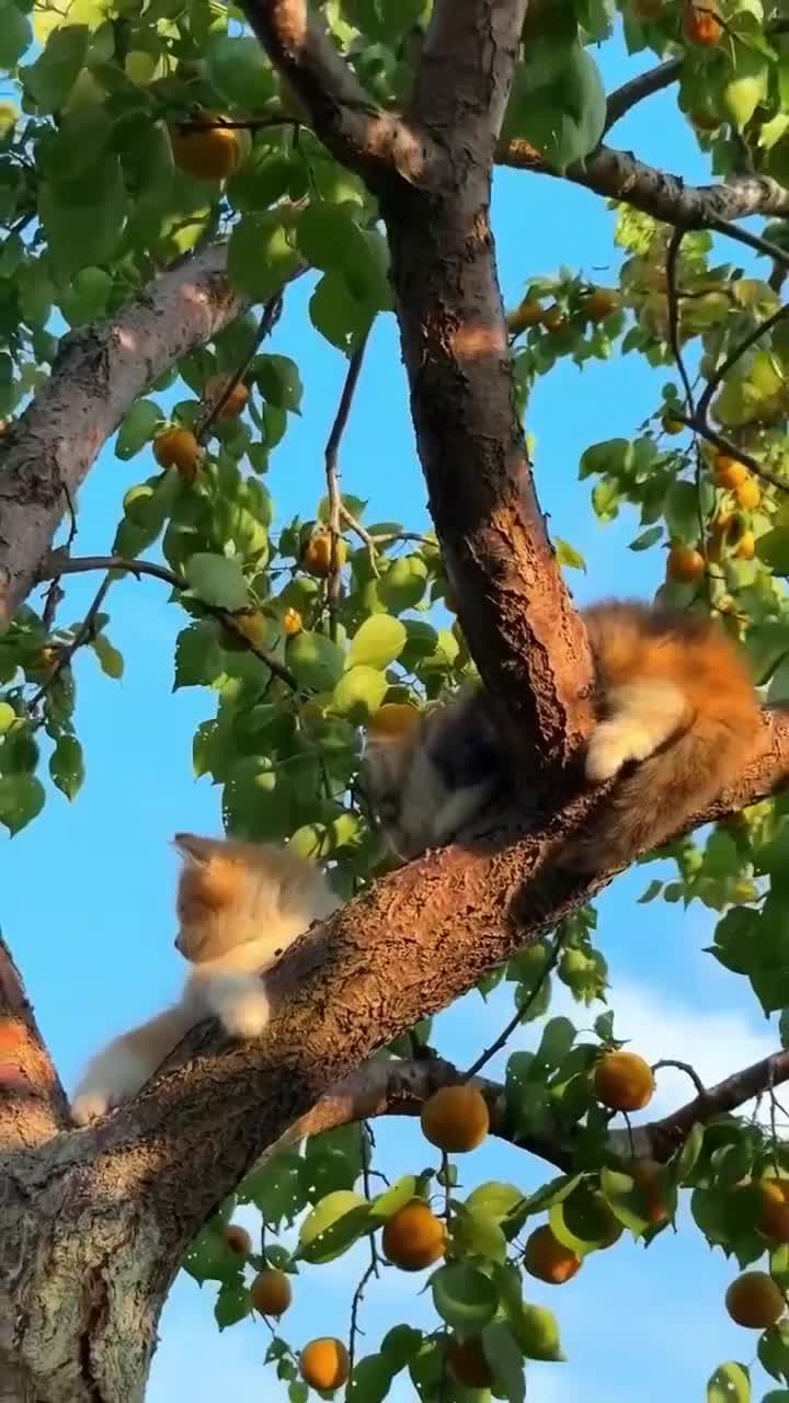 ❤