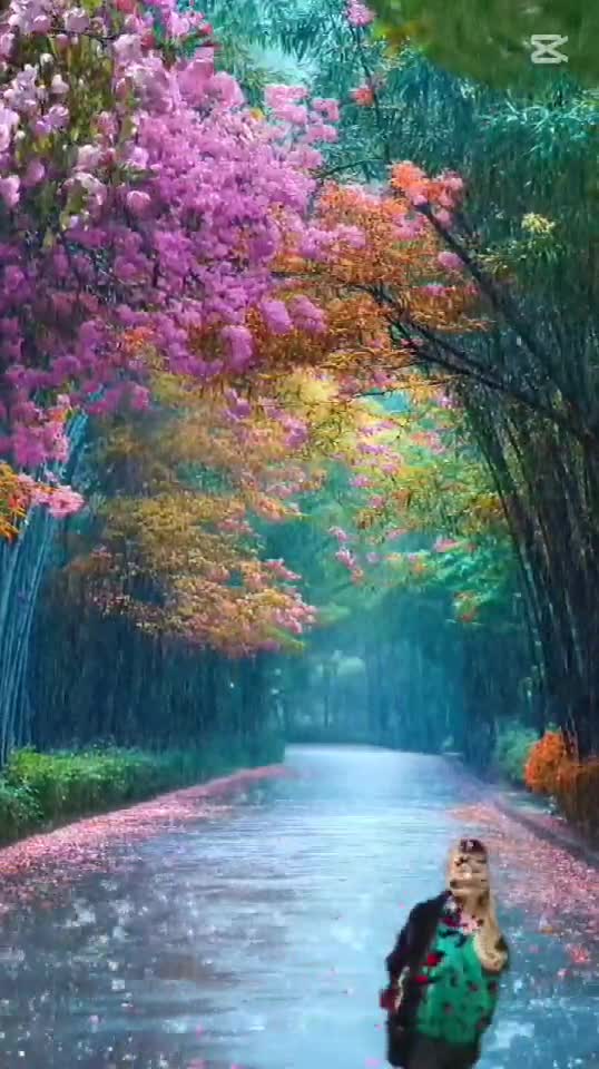 DAY RAINY