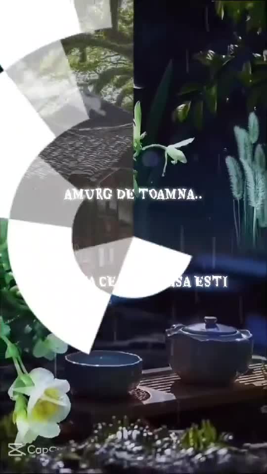 AMURG DE TOAMNA