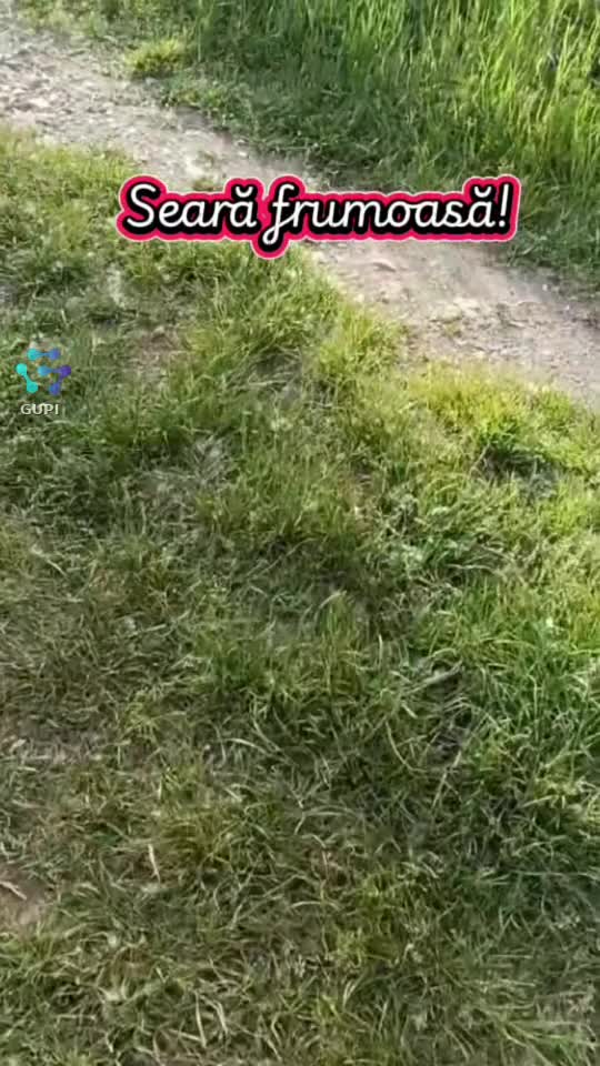 noi, oamenii judecăm...😐😐😐