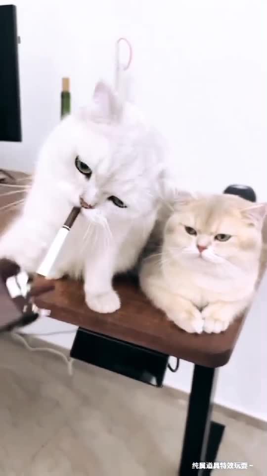 Pentru acest videoclip, Am fost blocata de TikTok și mi a fost luat contul. Aveam 2600 de prietene și 3400 urmăritori. Și 180 000 de aprecieri. Abuz
