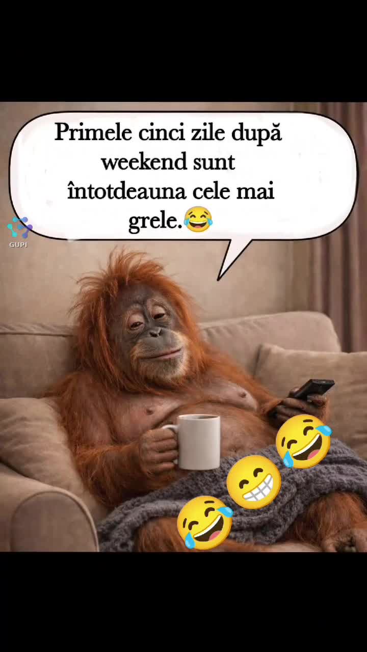 😁😂😂😂😁