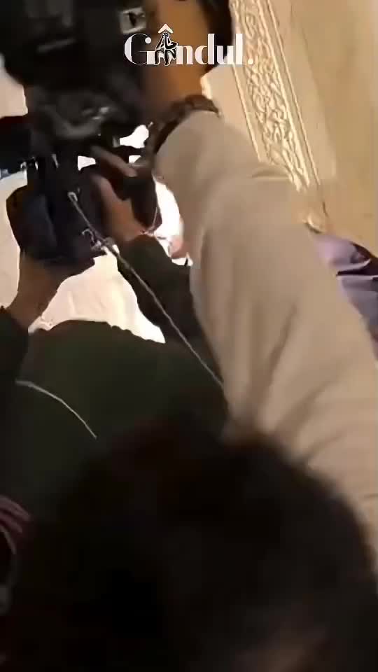 👎👎