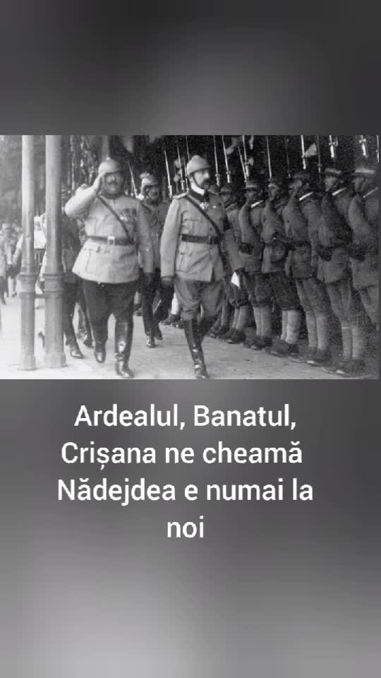 ASTA DAAA ARMATA ROMANA