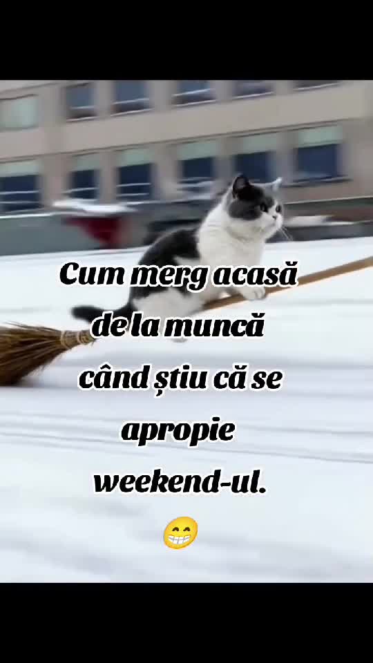 😁😁😁