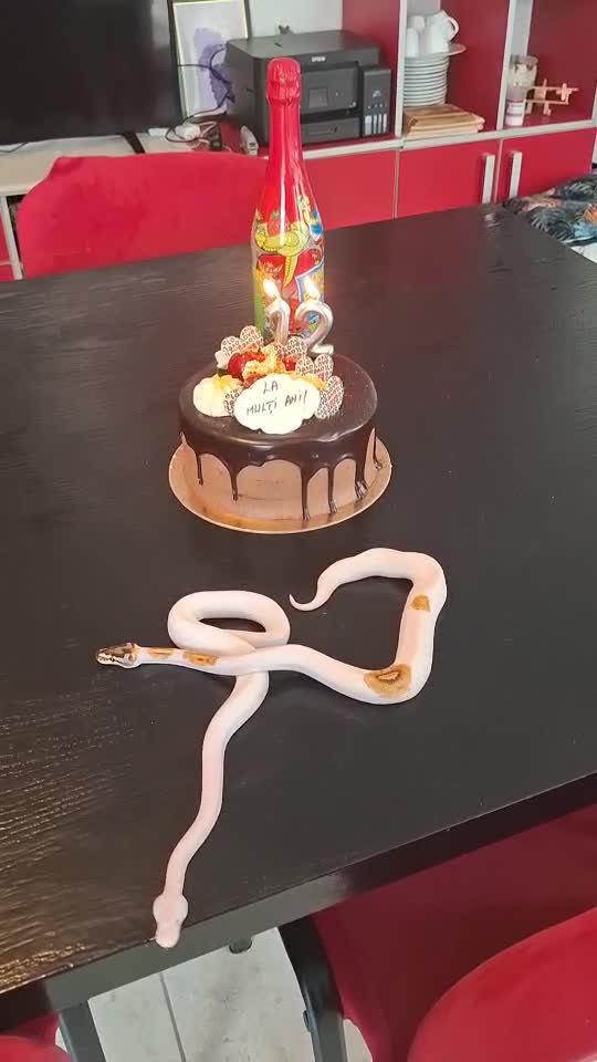 La mulți ani băiatul tatei! ☘️☘️☘️