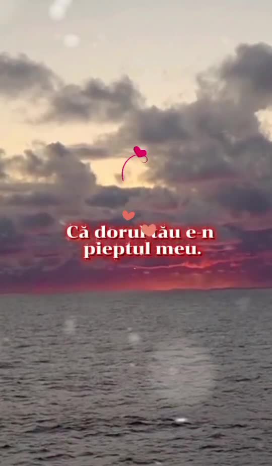 #    #🦋💙