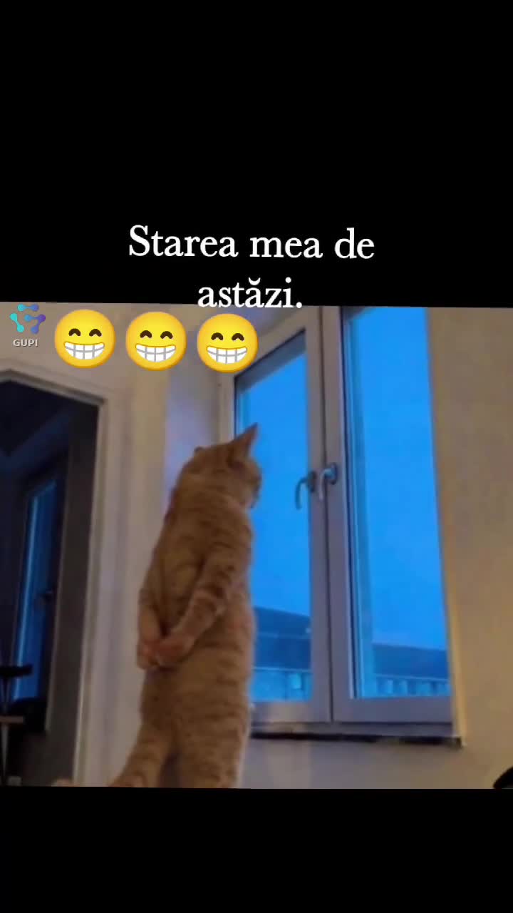 starea mea de astăzi 😁😁😂😁