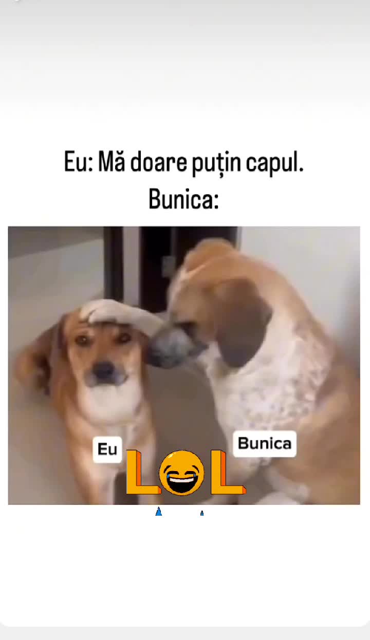 😂😂😂