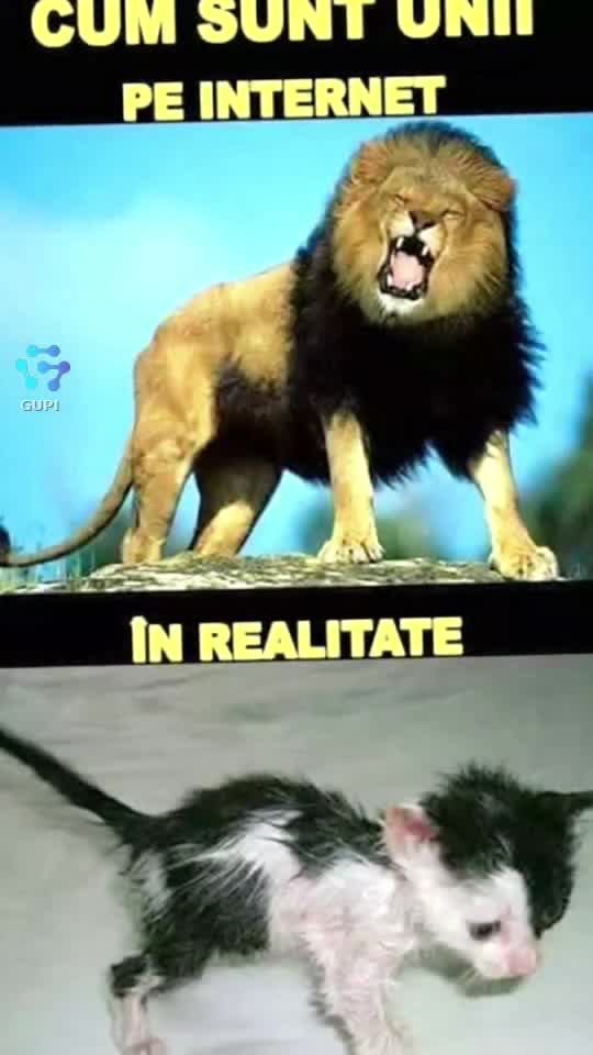 pe internet... și în realitate...😁😁😁
