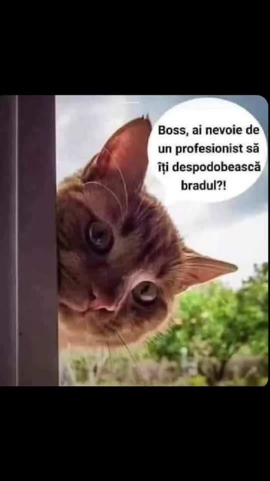 #####😁😂😁#