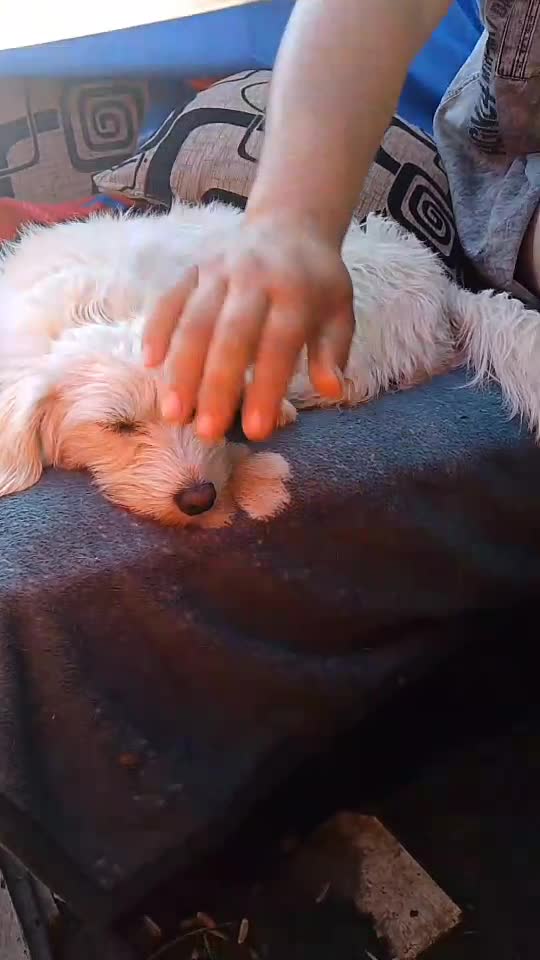 ,❤️❤️