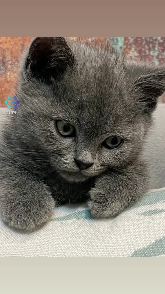 🥰🥰🥰