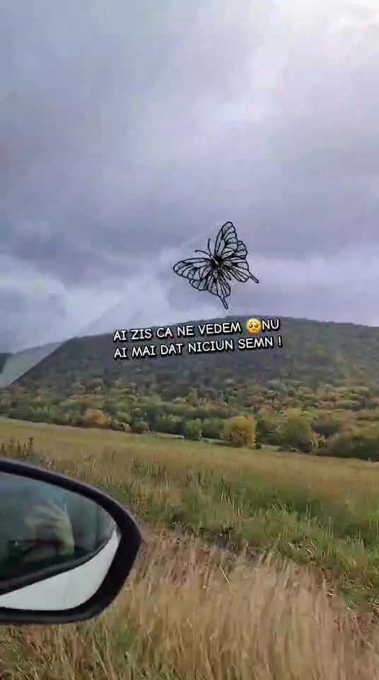 #🦋💙