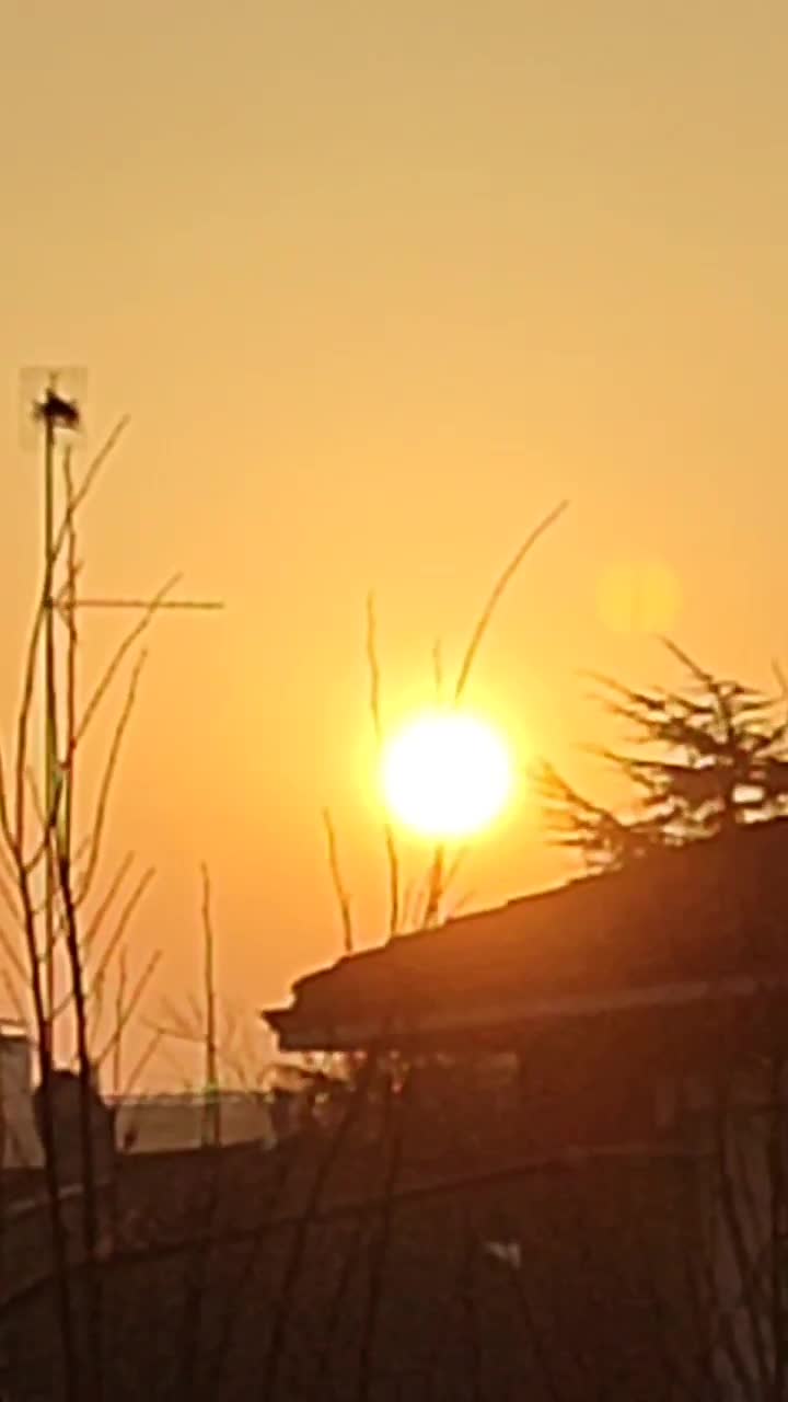 Bună dimineața 🥰..o cafeluță pentru toți ☕☕☕🥰💿👋❤️💯