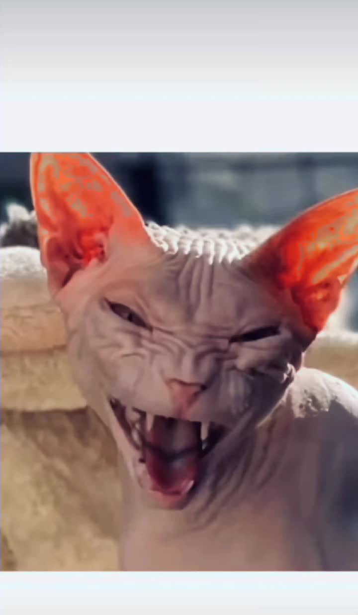😃😃