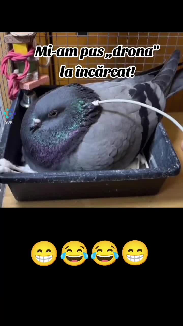 😁😂😂😂😁