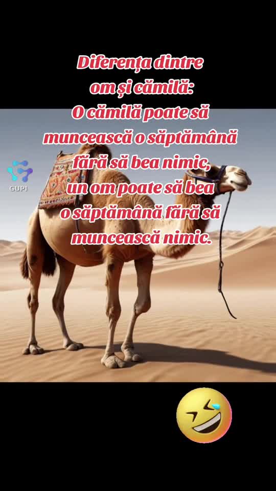 diferența dintre om și cămilă...😁🤣😁