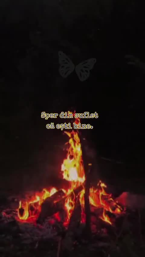 🦋 
 #❤️💙