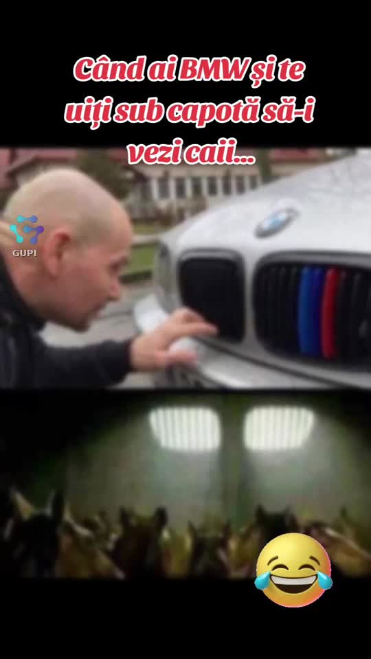 când ai BMW și te uiți să-i vezi caii...😁😁😁