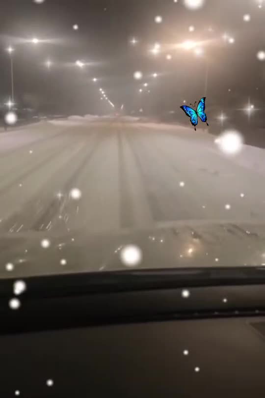#🦋💙