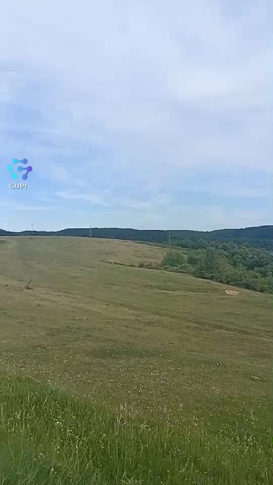 Campiile din Tășad