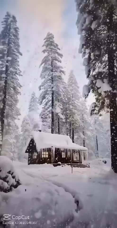 GOOD MORNING