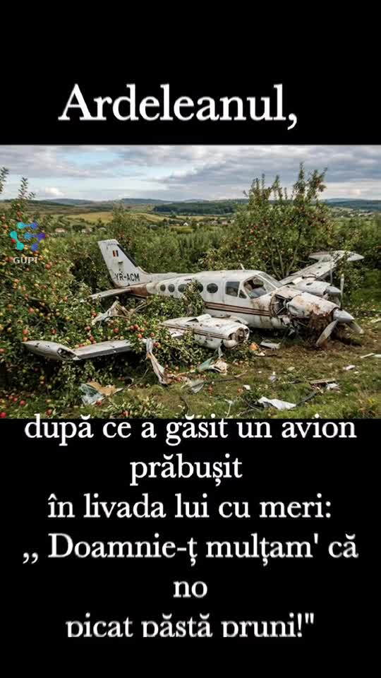 ardeleanul și avionul...😂😂😂