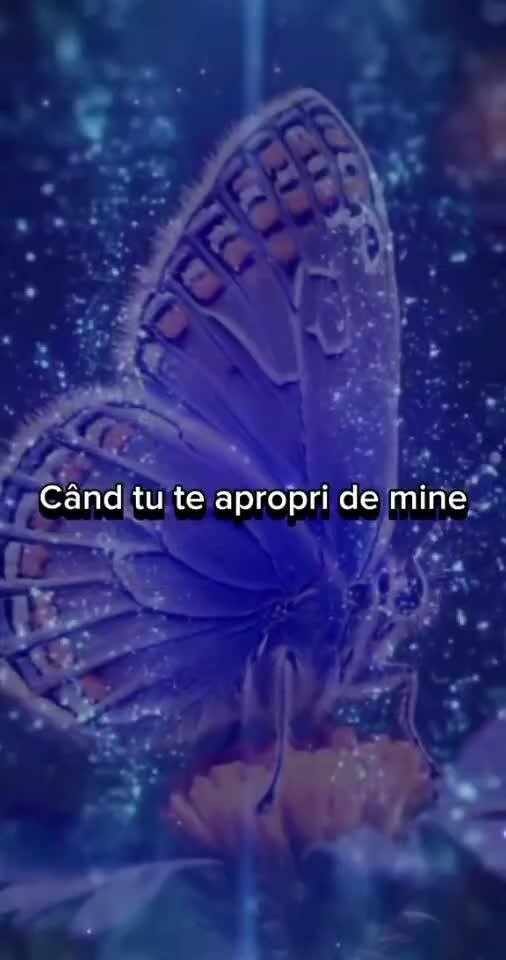 #🦋💙