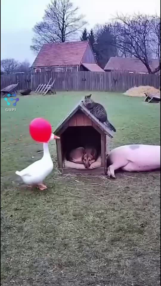😄