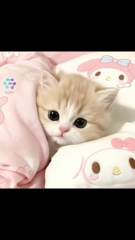 cute