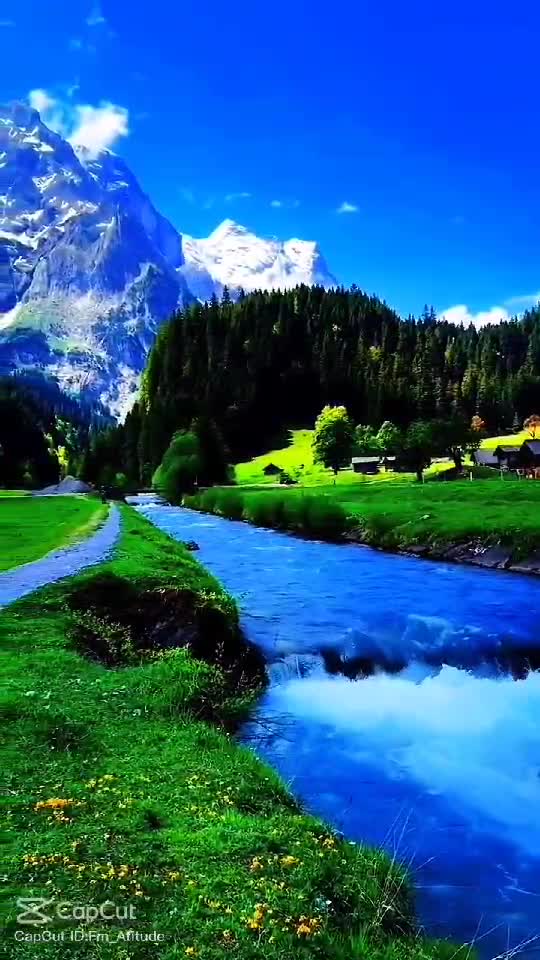 GOOD MORNING SWISS