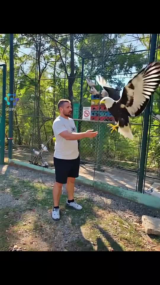 🦅🦅🦅