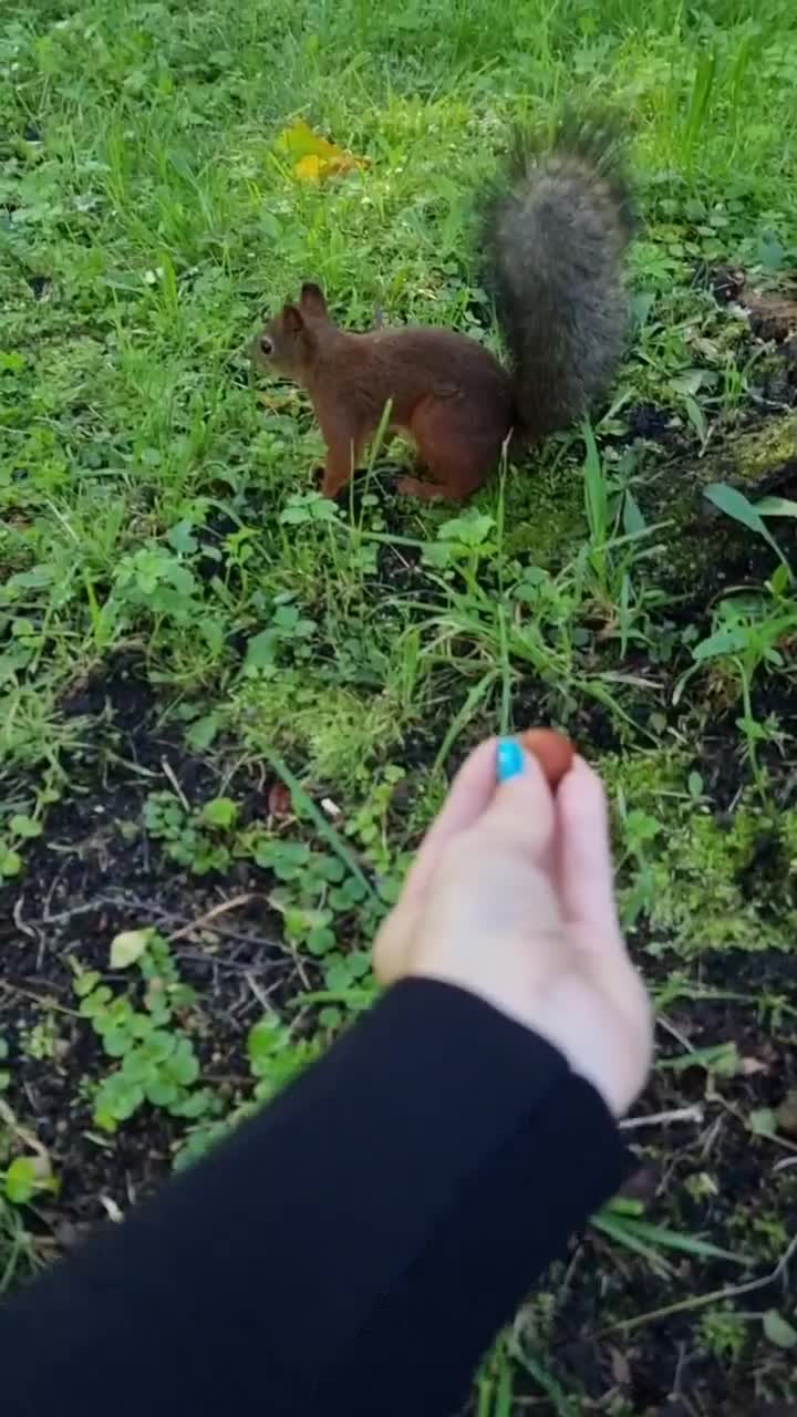 hello