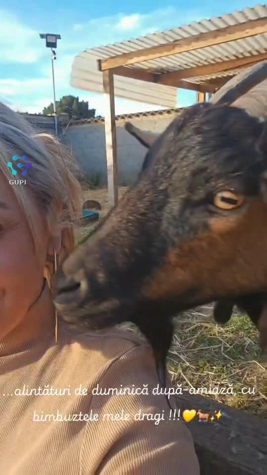 ...alintături de duminică după-amiază, cu bimbuztele mele dragi!!!
  ♎️