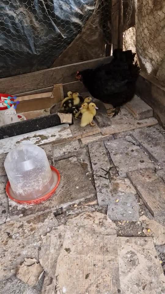 mămica și copii adoptivii