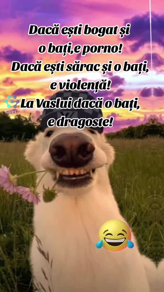 cum diferă dragostea...😁😁😁