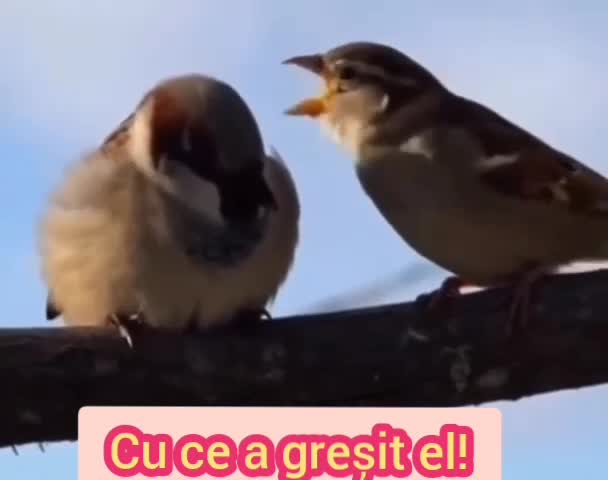 🤣