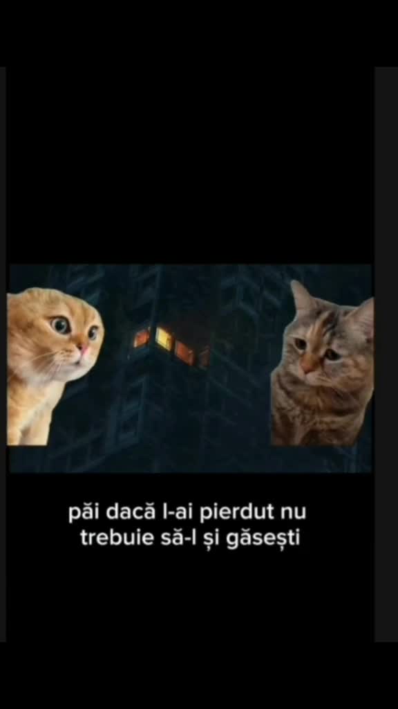 Altă blondă 🤦🏻‍♂️😝🤣