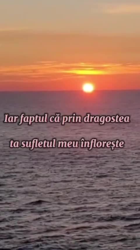 # 🦋  
 #❤️