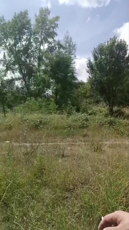 Eu vreau să muncesc...😁