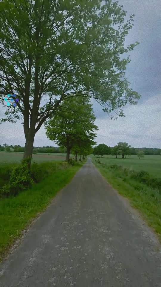 O plimbare în natură..🎞🙏🏻